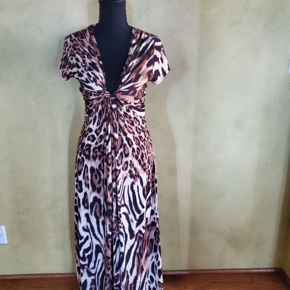 Animal Print Maxi Dress